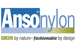 Anso Logo